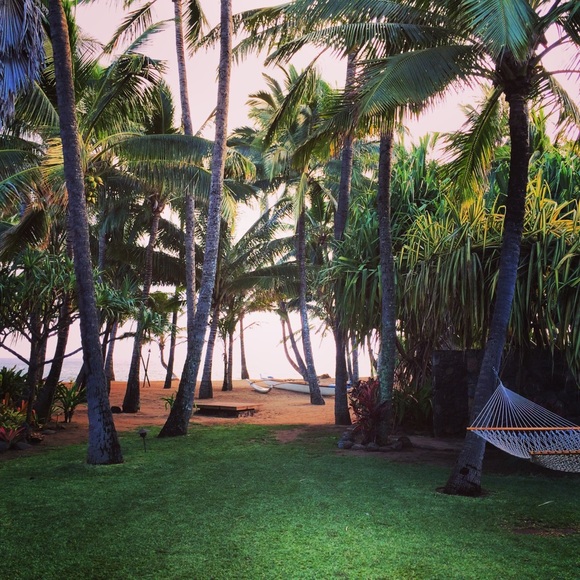 Meet your Posher, Nicole - Picture 1 of 1